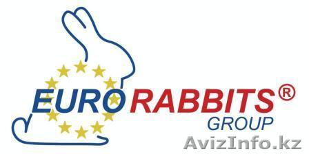 Прeврати удовольствие в прибыль! - Изображение #1, Объявление #738224