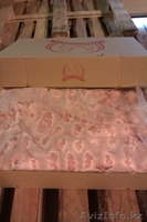 Мясо птицы,субпродукты - Изображение #3, Объявление #1292470