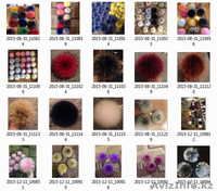 Помпоны из енота и песца - Изображение #2, Объявление #1499292